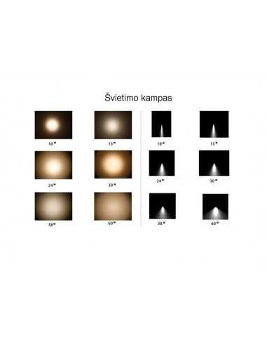 LED šviestuvas montuojamas į lubas - Gimbal 30W - 4000K