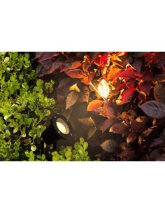 Įsmeigiamas LED lauko šviestuvas - Lumi Steck 2