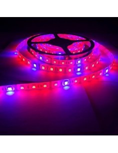 LED augalų juosta 14,4W - IP65 - 5050 - 60 SMD/m
