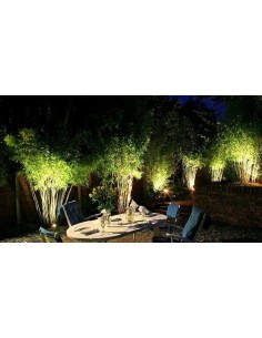 Įsmeigiamas LED lauko šviestuvas - Lumi Plant 5W 2