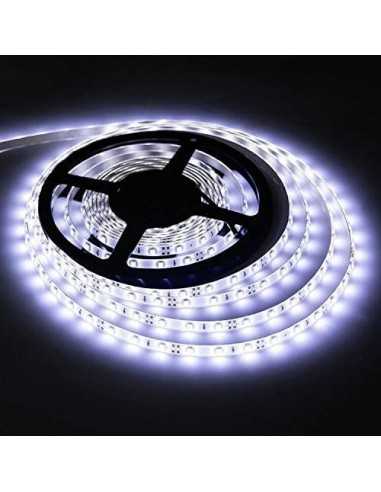 LED juosta Profi - 6W - 12V šaltai balta