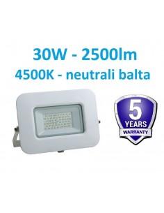 LED prožektorius 30W