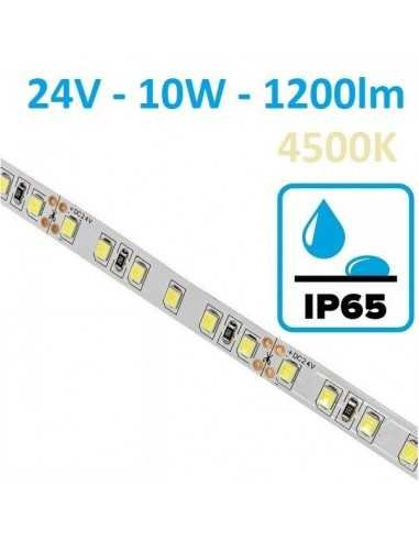 LED juosta 24V - 10W/m - 1200lm - 120SMD/m - 4500K - IP65