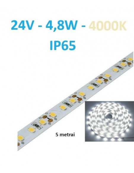 24V LED juosta 4,8W/m - IP65 - 60SMD/m - 4000K - 5 metrai