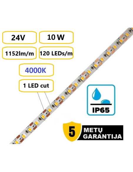 LED juosta Premium 24V - 10W - 4000K - IP65 - kerpama kas 1 cm