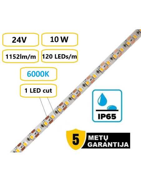 LED juosta Premium 24V - 10W - 6000K - IP65 - kerpama kas 1 cm