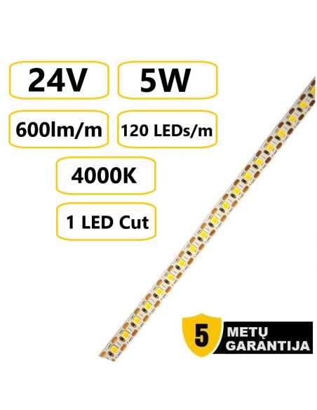 LED juosta 24V 5W 4000K IP20 neutrali balta internetu | Luxon.lt