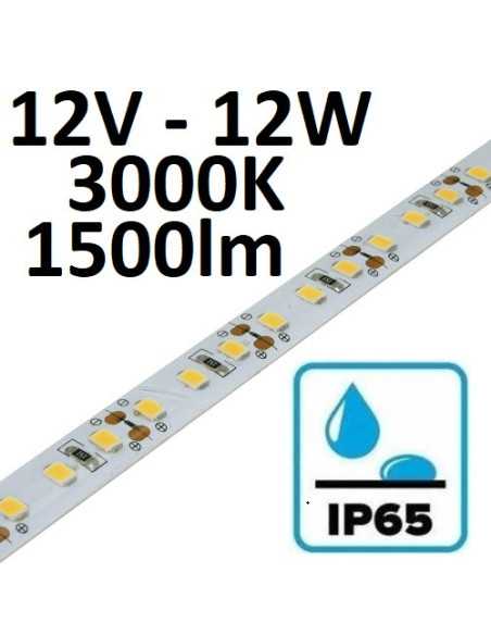 12V LED juosta 12W/m - IP65 - 120SMD/m - 3000K